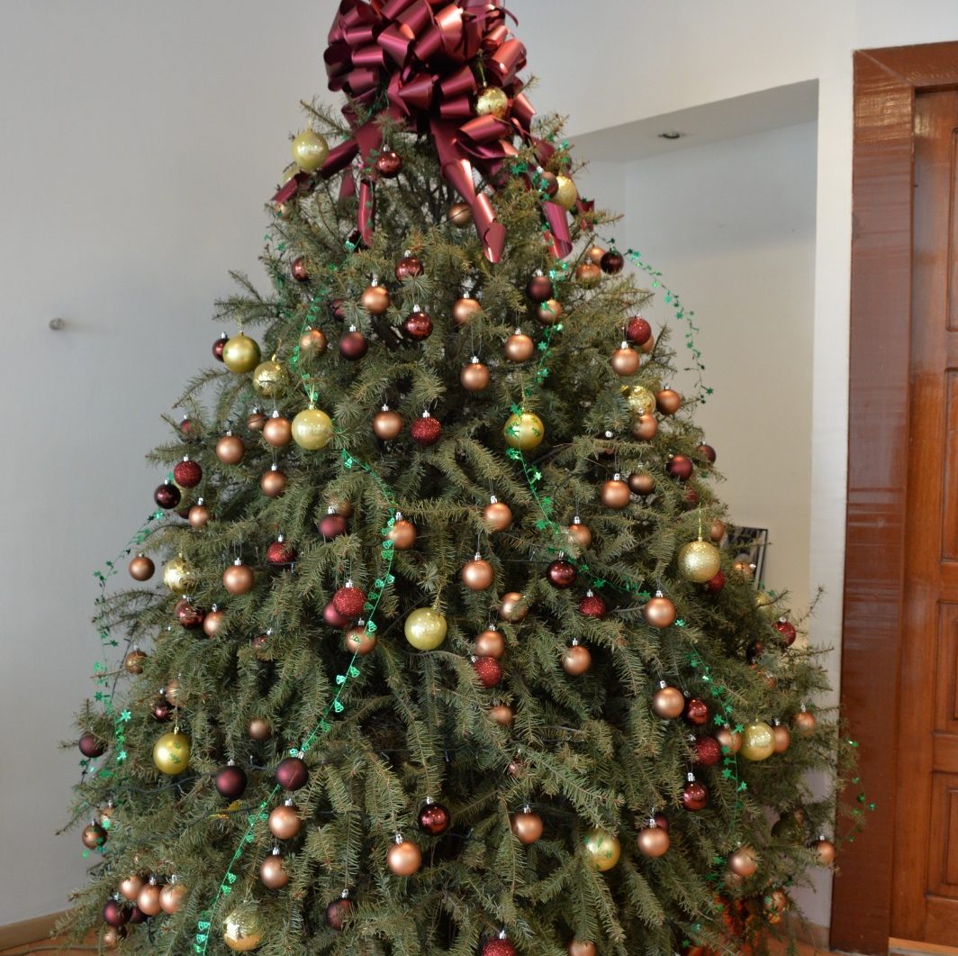 Instalan Centros De Acopio Para Reciclar árboles De Navidad Naturales