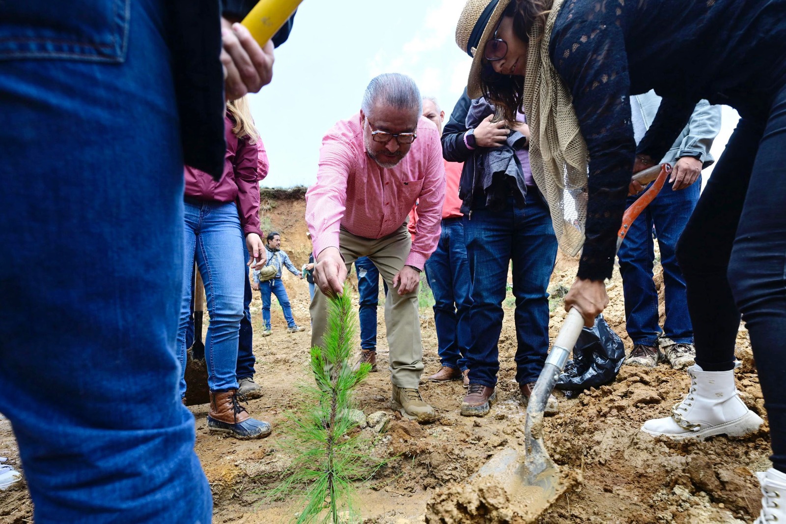 Ponen En Marcha Plan De Restauraci N Forestal Y Entregan Apoyos Econ Micos A Ejidatarios Plana