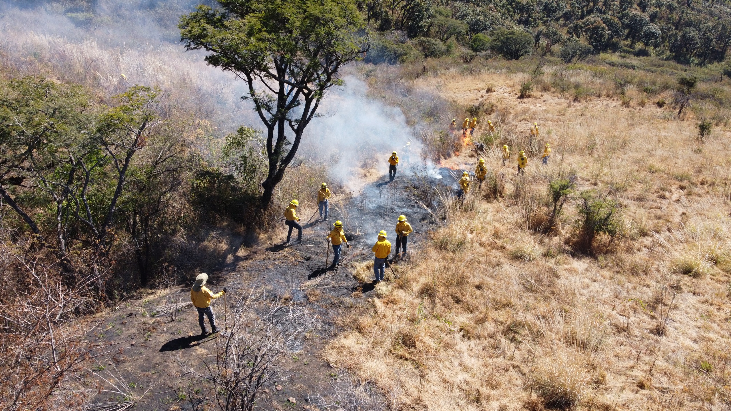 Edomex reduce incendios en 56 por ciento con estrategia de “Prevenir es mejor que combatir”
