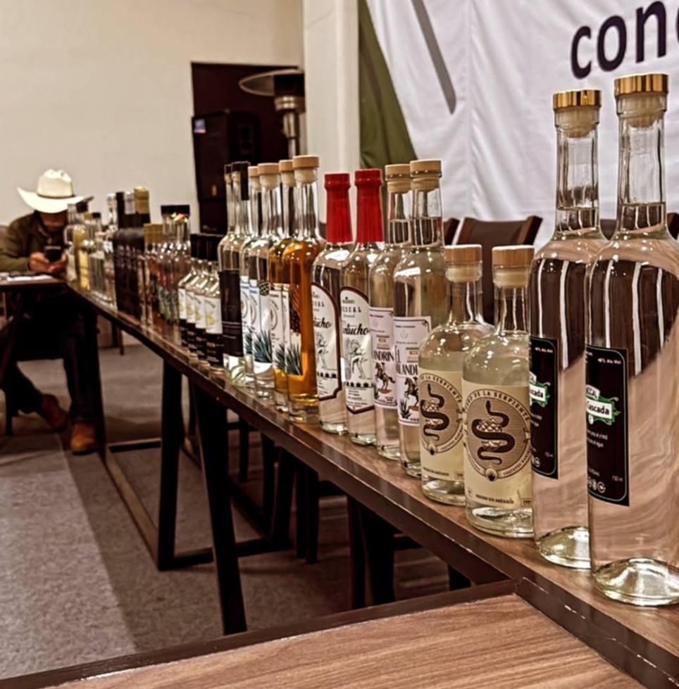Obtienen Denominación de Origen para el Mezcal Mexiquense