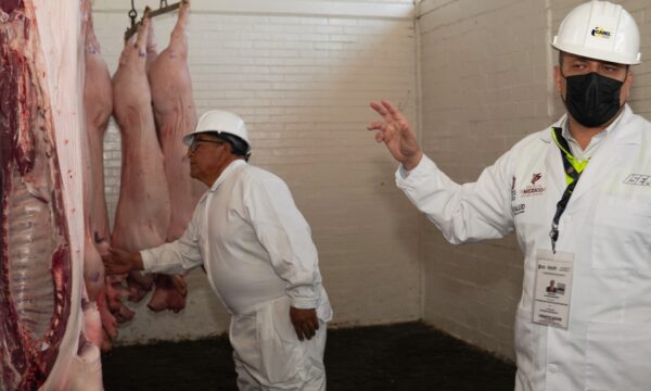 Intensifica Edomex supervisiones en rastros municipales para asegurar carne en condiciones adecuadas