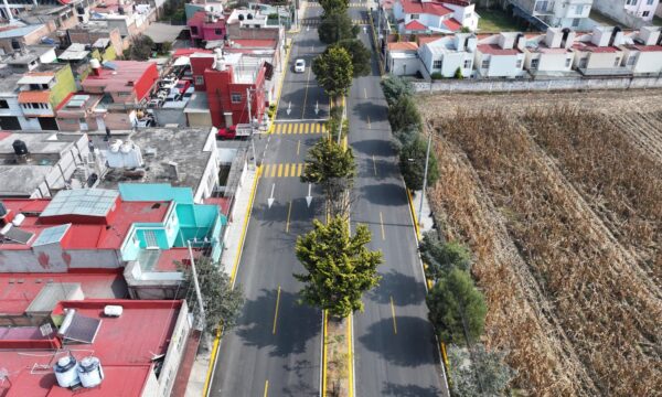 Toluca a punto de concluir Atlas de Arbolado Urbano; vendrá campaña de reforestación en calles y avenidas