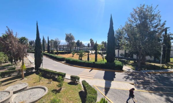 CU Texcoco UAEMex llama a votación para definir posible paro estudiantil