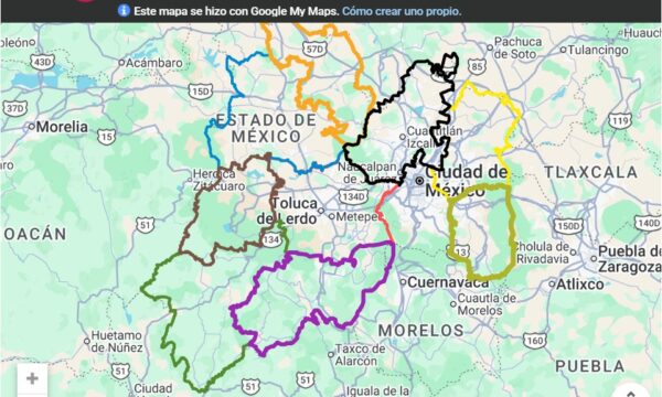 Lanzan convocatoria de programas forestales: hasta 165 mil pesos para su conservación, restauración y manejo