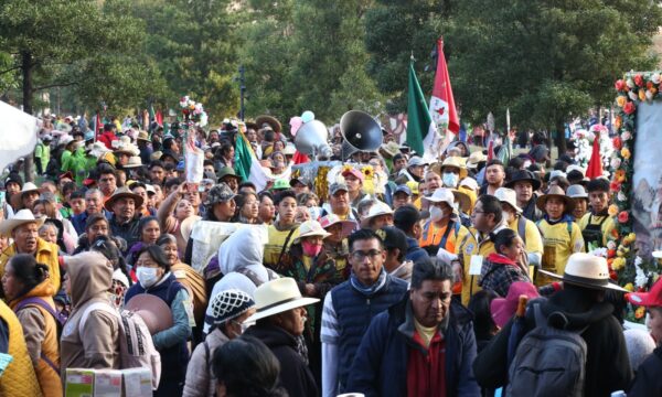 Preparan operativo por Peregrinación de Toluca a la Basílica de Guadalupe