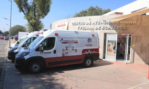 Ecatepec pone en operación ambulancias veterinarias para rescate y atención de animales
