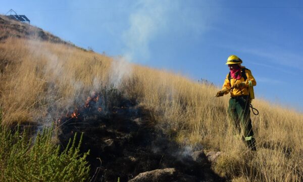 Activan operativo contra incendios forestales en Edomex durante Semana Santa