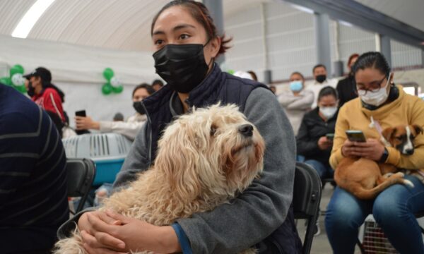 Realizarán Semana de Vacunación Antirrábica Canina y Felina; del 22 al 28 de marzo