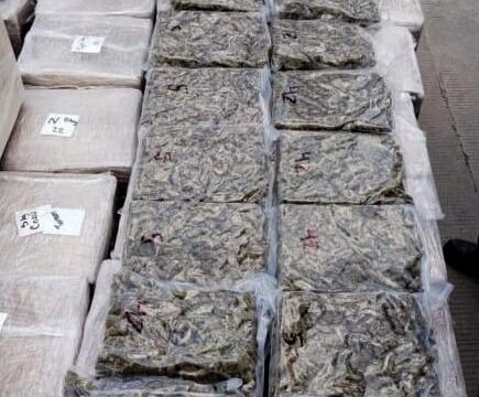 Capturan a sujeto con 260 kilogramos de marihuana en Huehuetoca