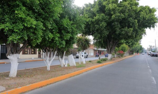 39 camellones intervenidos y 18 mil toneladas de basura retiradas en Ecatepec