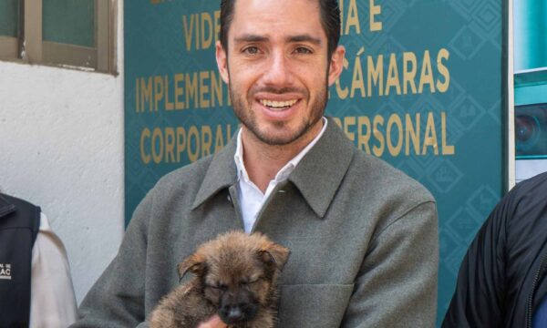 PVEM impulsa ley que endurece castigos por maltrato animal; hasta 15 años de prisión en Edomex