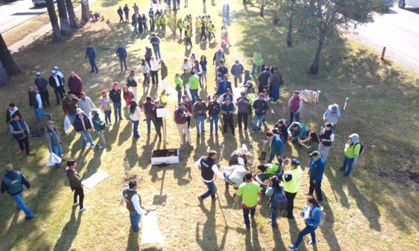 Impulsan recuperación de áreas verdes en 6.5 kilómetros de Tollocan