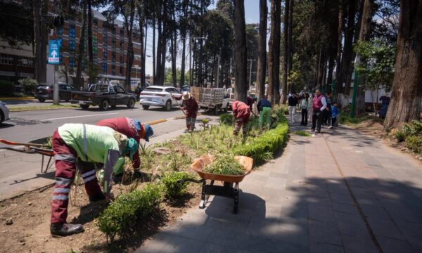 Inician trabajos de transformación de Paseo Colón en Toluca