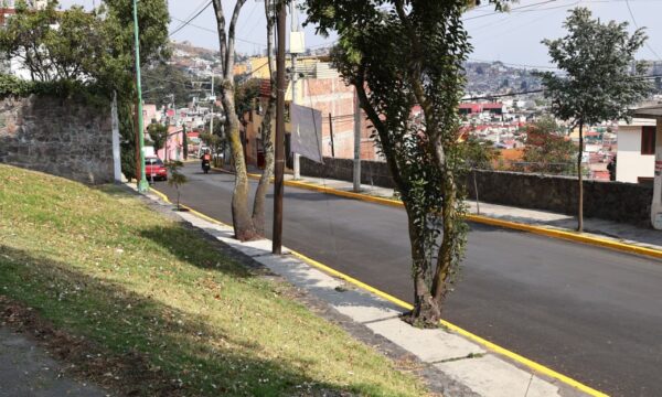 Toluca proyecta plantar más de 30 mil árboles para recuperar equilibrio ecológico
