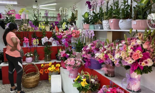 Día de las Madres impulsará gasto en Edomex: prevén derrama superior a 9 mil 800 mdp
