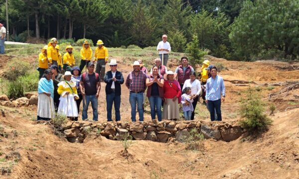 Prepara Edomex nueve zonas forestales para incrementar la supervivencia de plantas durante Jornadas de Restauración