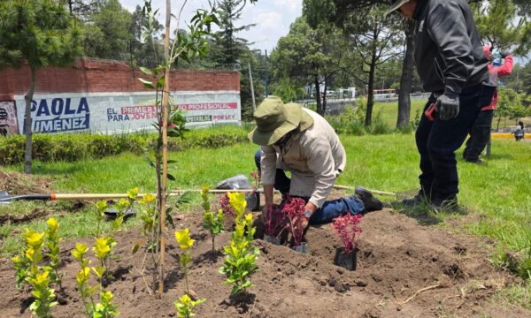 Impulsa Toluca instalación de parques polinizadores
