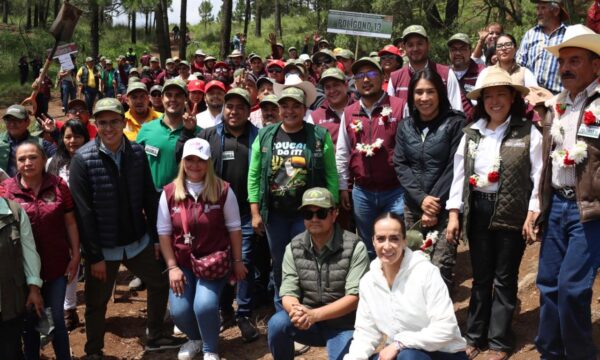 Inicia GEM programa para restaurar áreas naturales; recuperará casi 1,900 hectáreas afectadas por incendios y tala ilegal