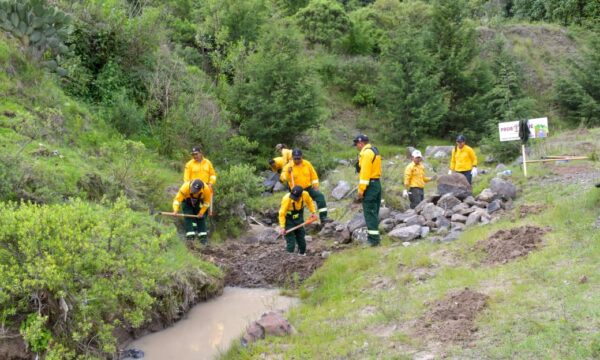 Almoloya de Juárez da inicio a la campaña estatal de reforestación 2026