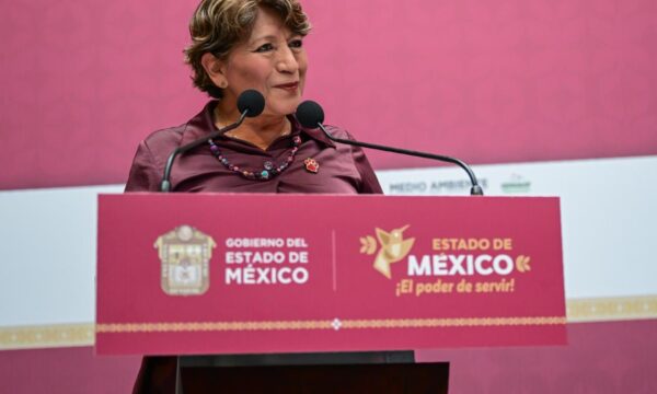 Entra en vigor nueva ley de bienestar animal; GEM apuesta por adopciones y apoyo a rescatistas