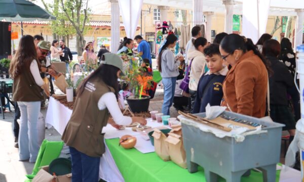 Zinacantepec impulsa acciones ambientales con jardines polinizadores, huertos familiares y reforestación