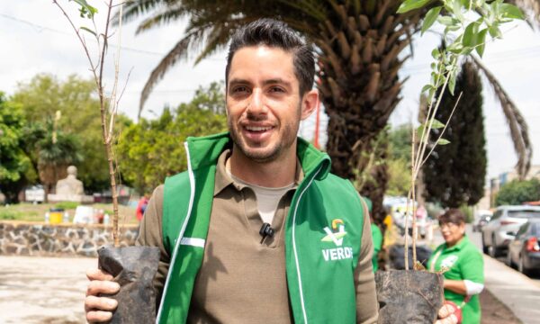Realizará PVEM reforestación de 250 mil árboles en Edomex durante 2026; avanza meta de 750 mil ejemplares