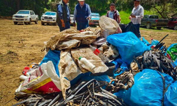 Semana de los Bosques arranca con labores de rescate ambiental en nueve regiones del Edomex