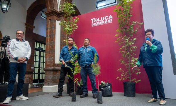 Sembrarán 126 mil árboles para transformar la imagen urbana de Toluca
