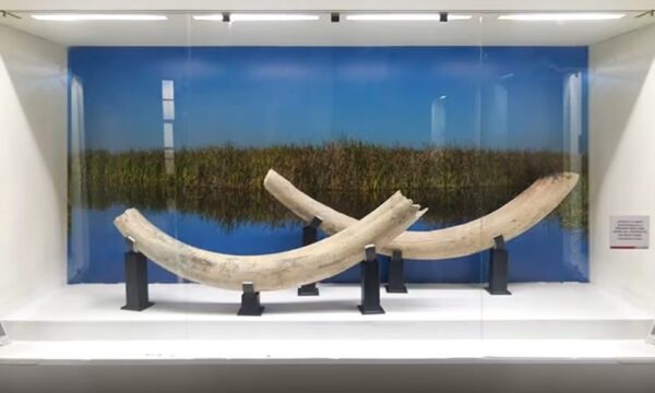 Museo de las Culturas Lacustres abre sus puertas para redescubrir la historia del Valle de Toluca