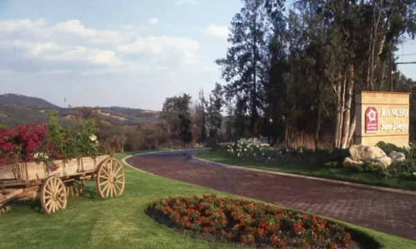 Alertan ante presencia de jaguar en Rancho San Diego, en Ixtapan de la Sal