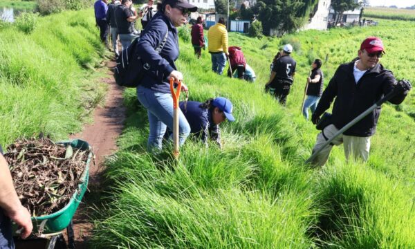 Recupera Ricardo Moreno espacios verdes en Toluca con estrategia de arborización histórica