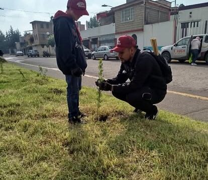 Convoca Toluca a participar en la reforestación de distintos puntos del municipio