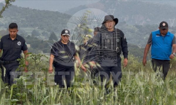 Se extiende alerta por tigre de bengala; Otumba emite recomendaciones mientras continúa operativo en Tepetlaoxtoc