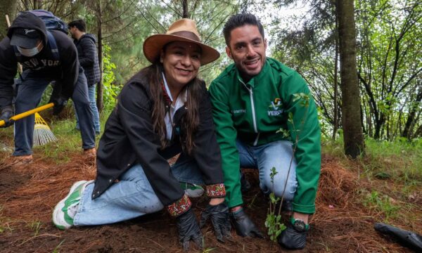 PVEM inicia gira de reforestación en Edomex; busca superar la siembra de 250 mil árboles en 2026