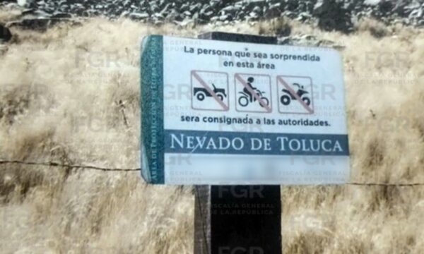 Condenan a más de seis años de prisión a conductor de RZR por dañar flora del Nevado de Toluca