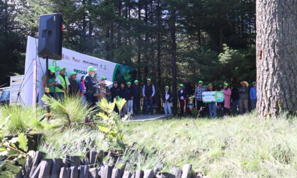 Inicia Zinacantepec reforestación con 3 mil árboles en el Nevado de Toluca