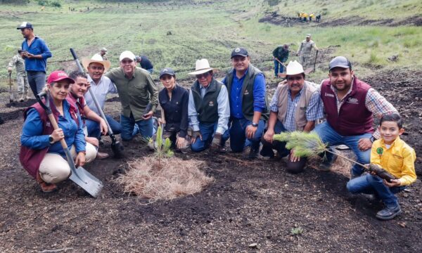 Conmemora Edomex por primera vez el Día Estatal de la Reforestación en 13 municipios del sur