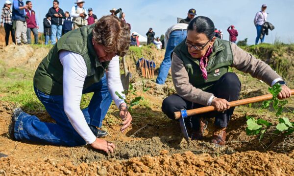 Delfina Gómez encabeza Jornada Nacional de Reforestación en Edomex