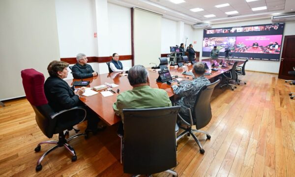Se suma Edomex a Jornada Nacional de Reforestación; participarán municipios, gabinete estatal y sociedad civil