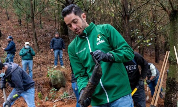 Se suma PVEM mexiquense a jornada nacional de reforestación; pide cuidar árboles plantados