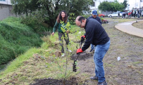 Zinacantepec planta mil 300 ejemplares durante jornada nacional de reforestación
