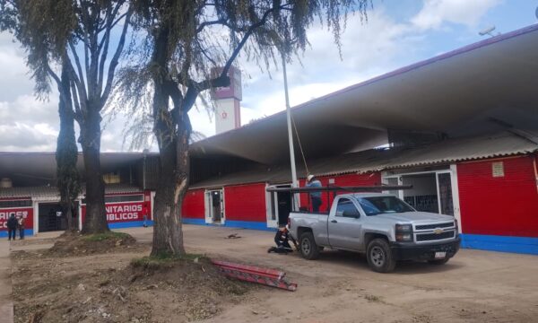 Entra gobierno de Toluca al rescate del Mercado Juárez para acabar con plagas y mantener arbolado