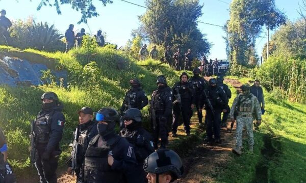 Clausuran seis aserraderos en Ocuilan